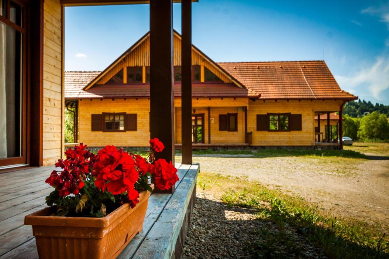 Pensiunea Sapte Flori Gheorgheni  Zewnętrze zdjęcie