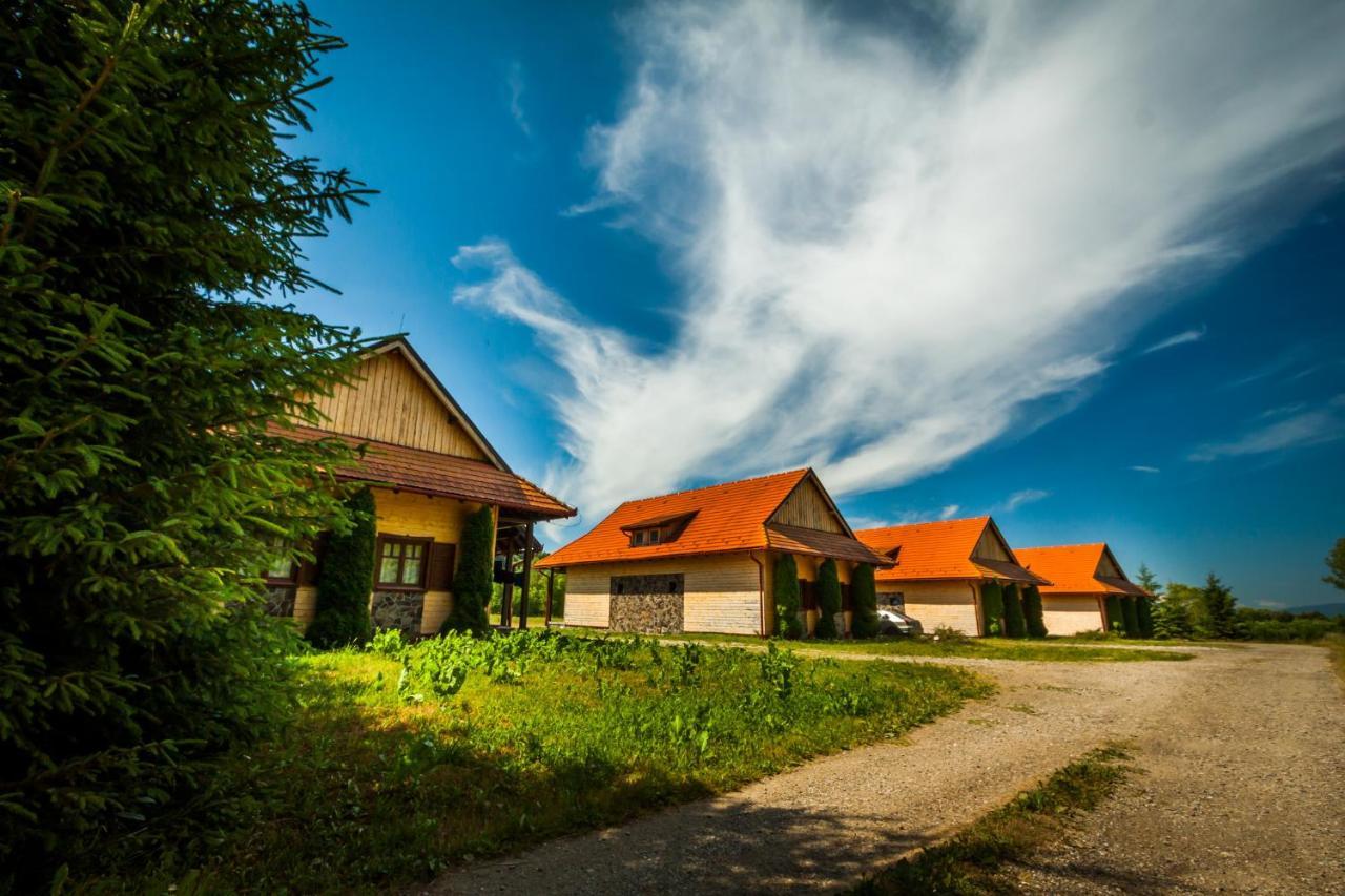 Pensiunea Sapte Flori Gheorgheni  Zewnętrze zdjęcie