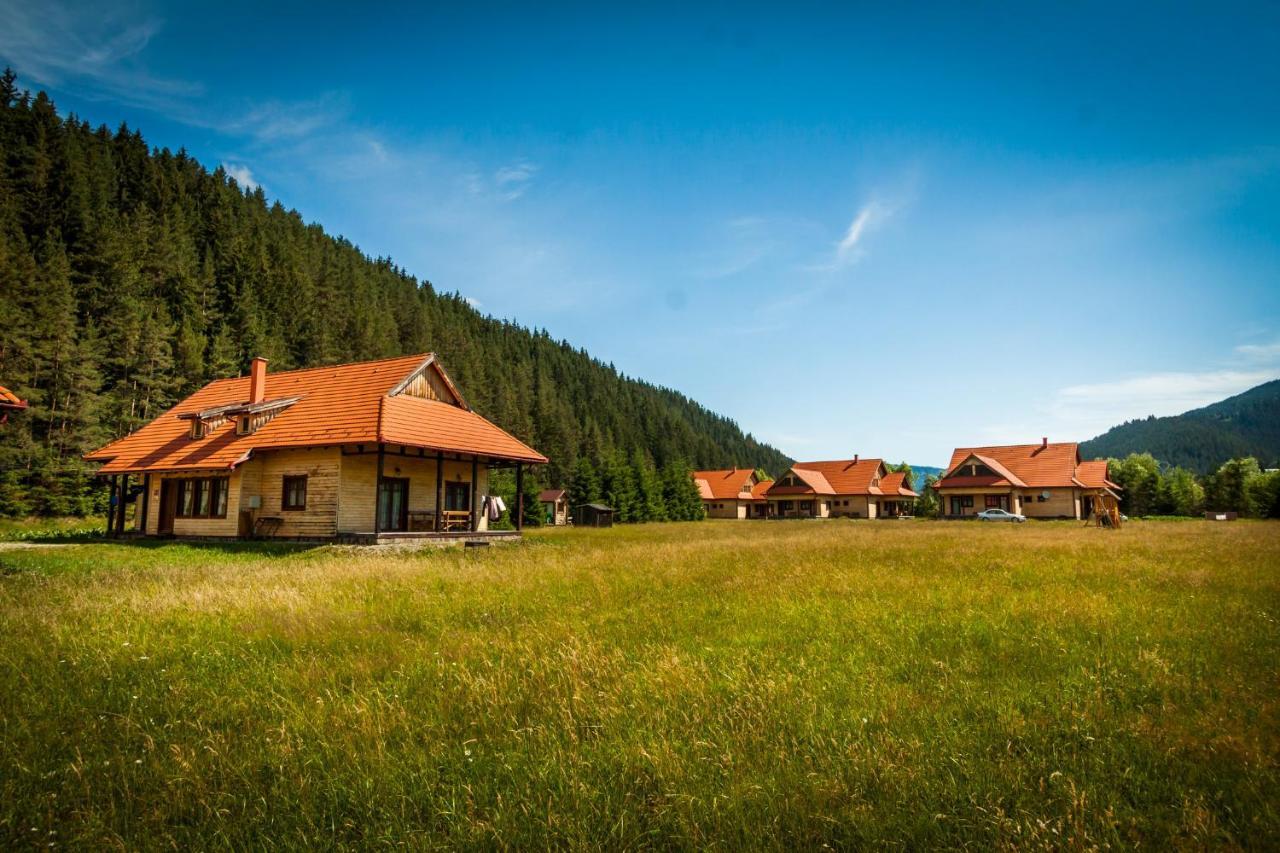 Pensiunea Sapte Flori Gheorgheni  Zewnętrze zdjęcie